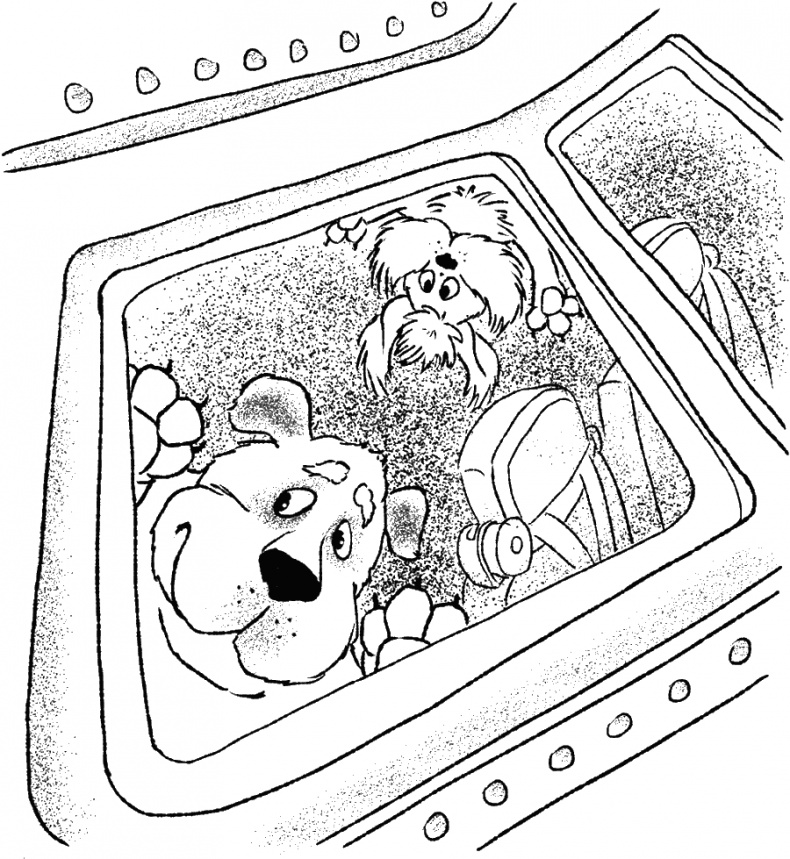 Иллюстрация к книге — Приключения Пуха на Земле и в Космосе [i_070.jpg]