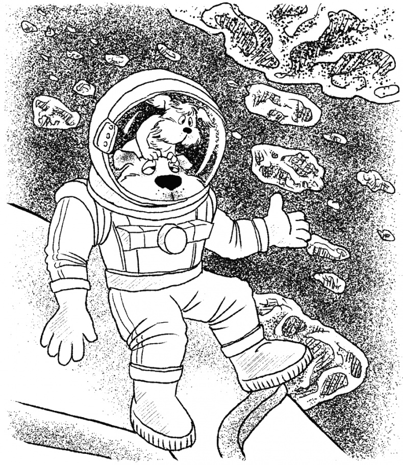 Иллюстрация к книге — Приключения Пуха на Земле и в Космосе [i_072.jpg]