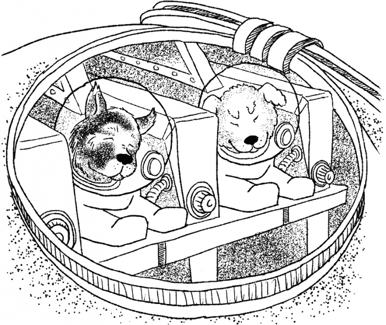 Иллюстрация к книге — Приключения Пуха на Земле и в Космосе [i_074.jpg]