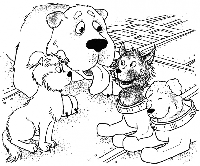 Иллюстрация к книге — Приключения Пуха на Земле и в Космосе [i_076.jpg]