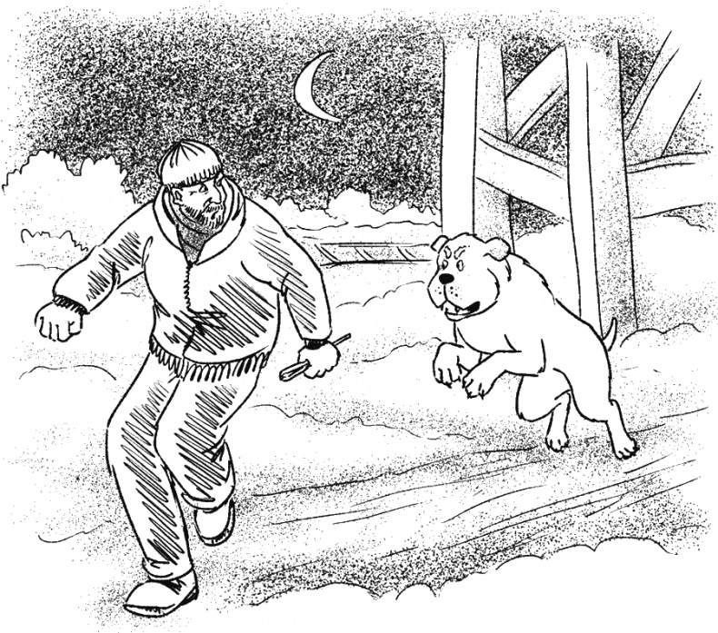 Иллюстрация к книге — Приключения Пуха на Земле и в Космосе [i_088.jpg]