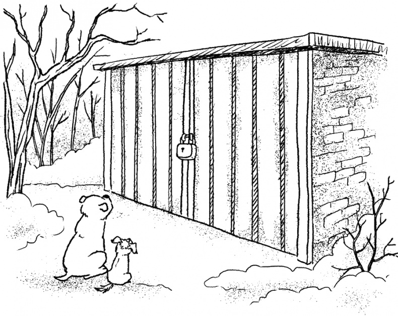 Иллюстрация к книге — Приключения Пуха на Земле и в Космосе [i_092.jpg]