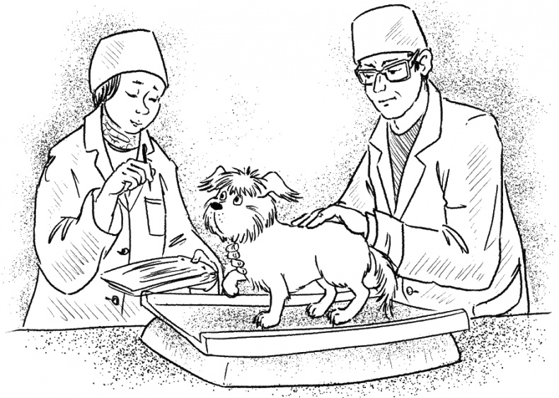 Иллюстрация к книге — Приключения Пуха на Земле и в Космосе [i_107.jpg]