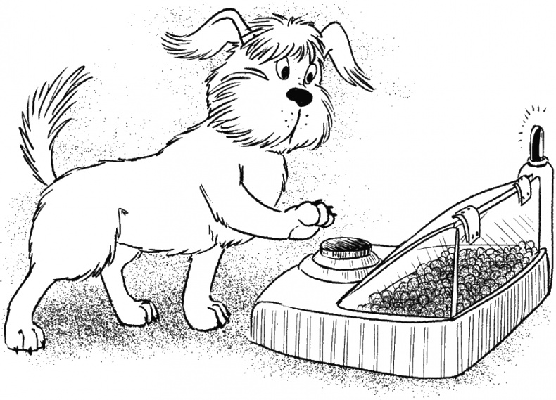 Иллюстрация к книге — Приключения Пуха на Земле и в Космосе [i_108.jpg]