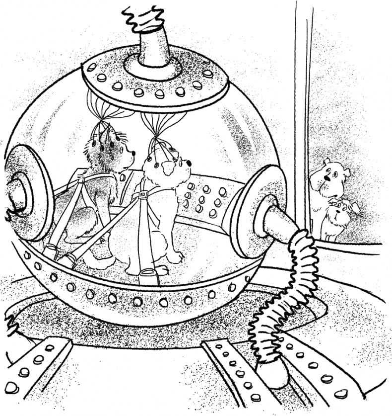 Иллюстрация к книге — Приключения Пуха на Земле и в Космосе [i_111.jpg]