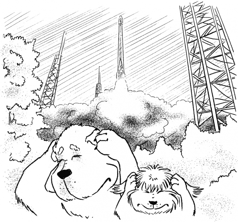 Иллюстрация к книге — Приключения Пуха на Земле и в Космосе [i_113.jpg]