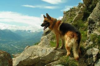 Иллюстрация к книге — Иного не желаю [i_017.jpg]