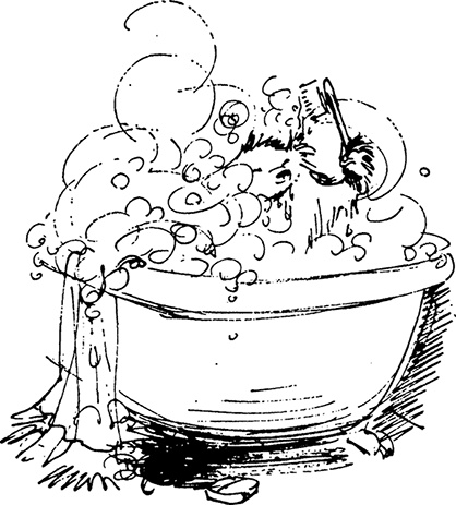 Иллюстрация к книге — Медвежонок Паддингтон. С любовью [i_019.jpg]