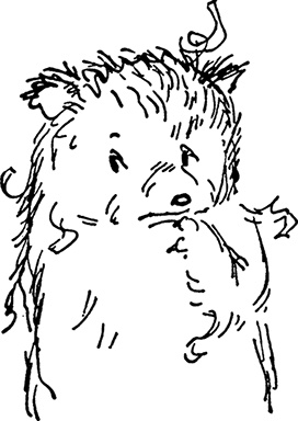 Иллюстрация к книге — Медвежонок Паддингтон. С любовью [i_022.jpg]