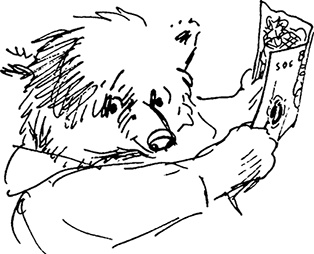 Иллюстрация к книге — Медвежонок Паддингтон. С любовью [i_030.jpg]