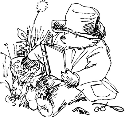 Иллюстрация к книге — Медвежонок Паддингтон. С любовью [i_032.jpg]