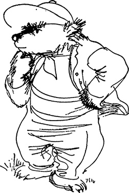 Иллюстрация к книге — Медвежонок Паддингтон. С любовью [i_033.jpg]