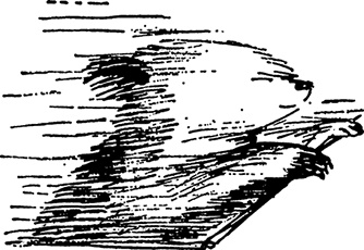 Иллюстрация к книге — Медвежонок Паддингтон. С любовью [i_034.jpg]