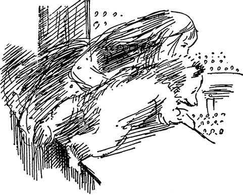 Иллюстрация к книге — Медвежонок Паддингтон. С любовью [i_040.jpg]