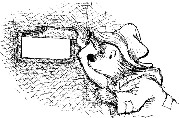 Иллюстрация к книге — Медвежонок Паддингтон. С любовью [i_046.jpg]