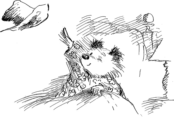 Иллюстрация к книге — Медвежонок Паддингтон. С любовью [i_052.jpg]