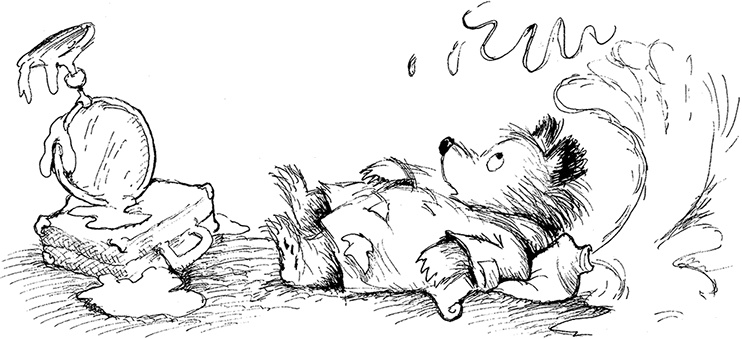 Иллюстрация к книге — Медвежонок Паддингтон – чемпион [i_004.jpg]