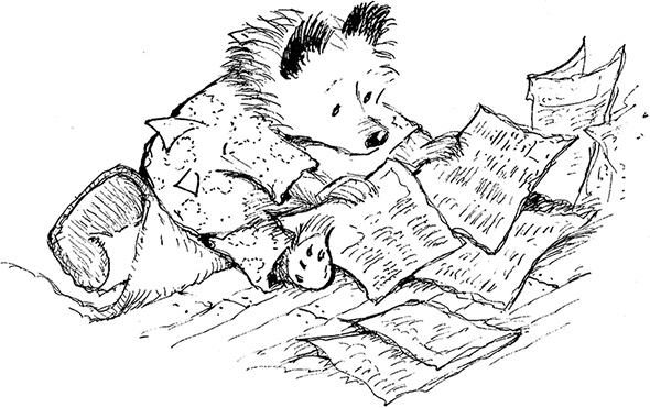 Иллюстрация к книге — Медвежонок Паддингтон – чемпион [i_015.jpg]