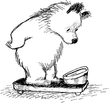 Иллюстрация к книге — Медвежонок Паддингтон – чемпион [i_025.jpg]