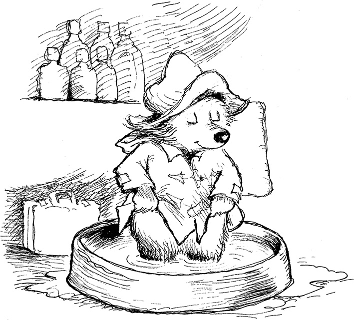 Иллюстрация к книге — Медвежонок Паддингтон – чемпион [i_030.jpg]