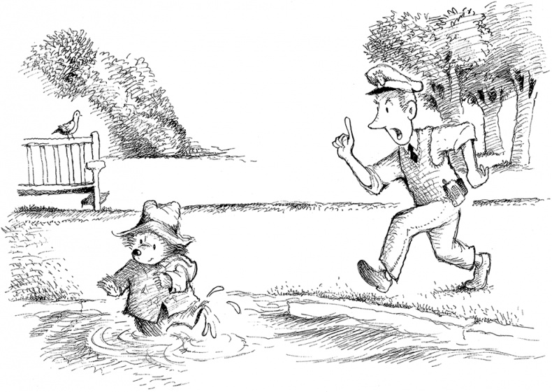 Иллюстрация к книге — Медвежонок Паддингтон – чемпион [i_033.jpg]