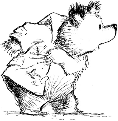 Иллюстрация к книге — Медвежонок Паддингтон – чемпион [i_043.jpg]