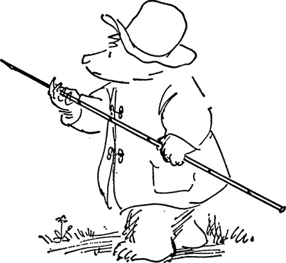 Иллюстрация к книге — Медвежонок Паддингтон сдаёт экзамен [i_007.jpg]