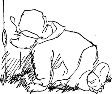 Иллюстрация к книге — Медвежонок Паддингтон сдаёт экзамен [i_008.jpg]