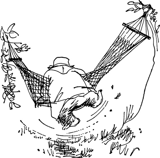 Иллюстрация к книге — Медвежонок Паддингтон сдаёт экзамен [i_009.jpg]