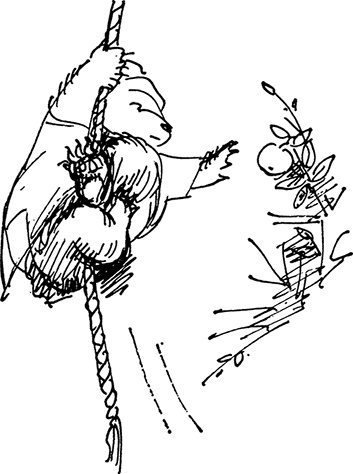 Иллюстрация к книге — Медвежонок Паддингтон сдаёт экзамен [i_010.jpg]