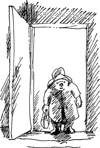 Иллюстрация к книге — Медвежонок Паддингтон сдаёт экзамен [i_023.jpg]