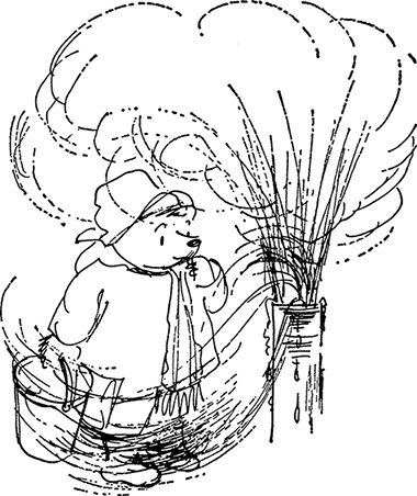 Иллюстрация к книге — Медвежонок Паддингтон сдаёт экзамен [i_030.jpg]