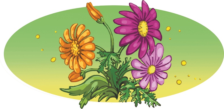 Иллюстрация к книге — Кефир, Гаврош и Рикошет, или Приключения енотов-инопланетян [i_084.jpg]