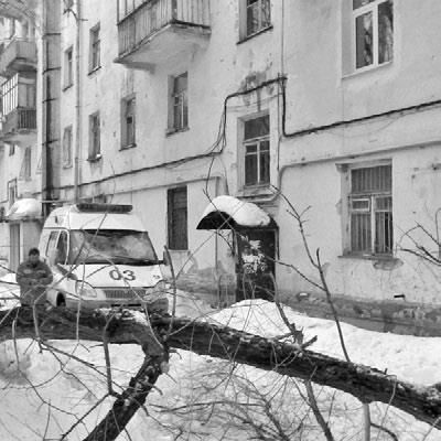 Иллюстрация к книге — Тайны бессмертия [i_002.jpg]