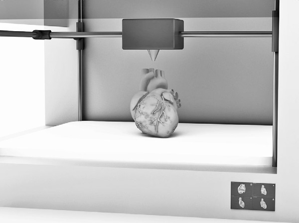 Иллюстрация к книге — Тайны бессмертия [i_015.jpg]