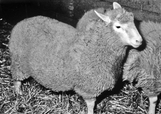 Иллюстрация к книге — Тайны бессмертия [i_017.jpg]