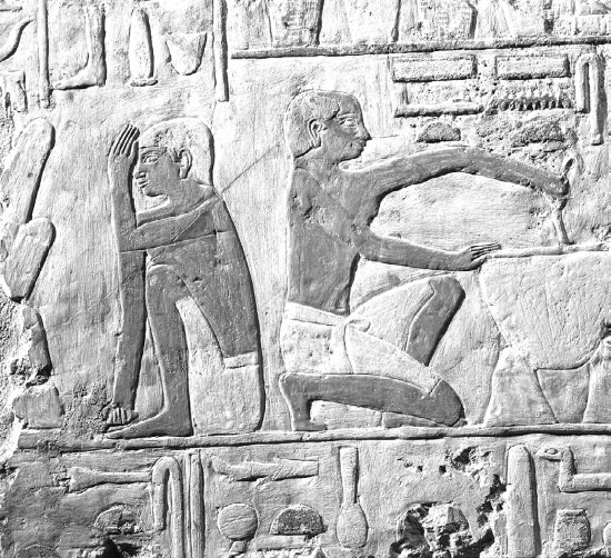 Иллюстрация к книге — Тайны бессмертия [i_027.jpg]