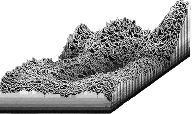 Иллюстрация к книге — Тайны бессмертия [i_046.jpg]