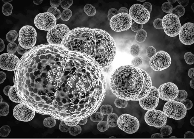 Иллюстрация к книге — Тайны бессмертия [i_050.jpg]