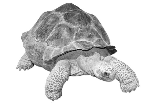 Иллюстрация к книге — Тайны бессмертия [i_053.jpg]