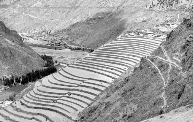 Иллюстрация к книге — Тайны бессмертия [i_063.jpg]