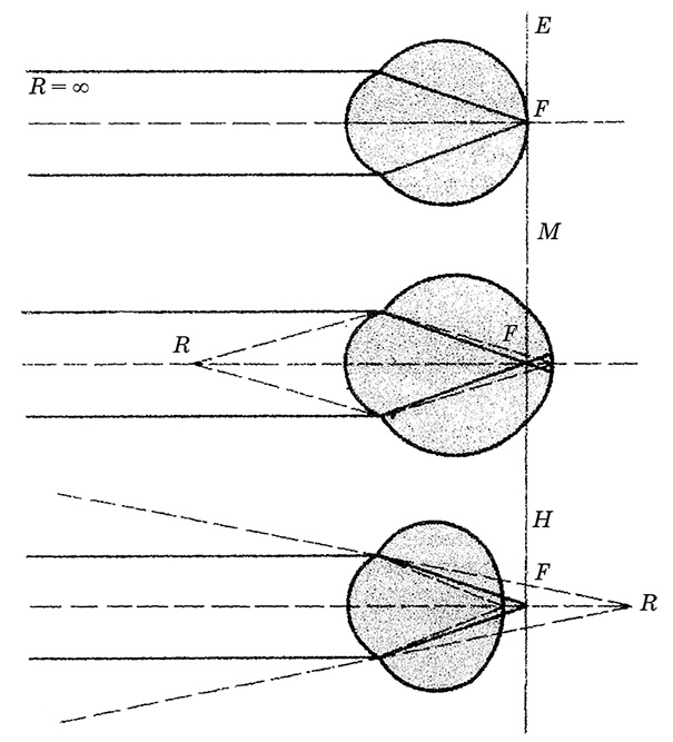 Иллюстрация к книге — Возрастная анатомия и физиология. Основы профилактики и коррекции нарушений в развитии детей [i_053.jpg]