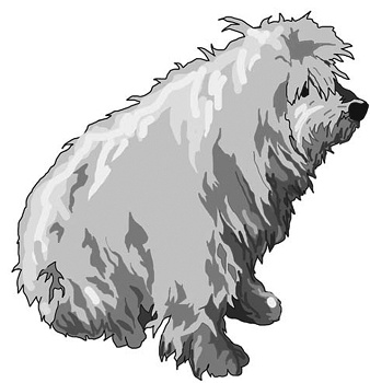 Иллюстрация к книге — Зулали (сборник) [i_009.jpg]