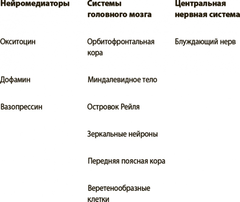 Иллюстрация к книге — Укрощение амигдалы и другие инструменты тренировки мозга [i_010.jpg]