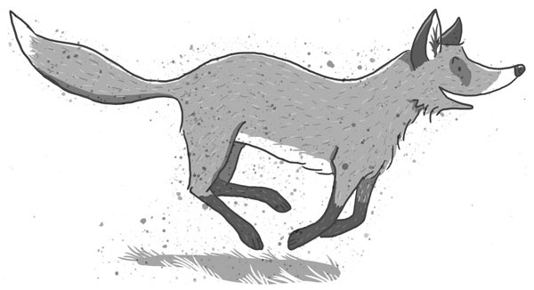 Иллюстрация к книге — Школа волшебных зверей [_140.jpg]