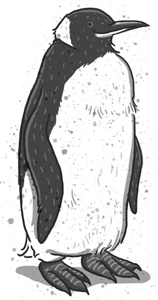 Иллюстрация к книге — Школа волшебных зверей [_236.jpg]