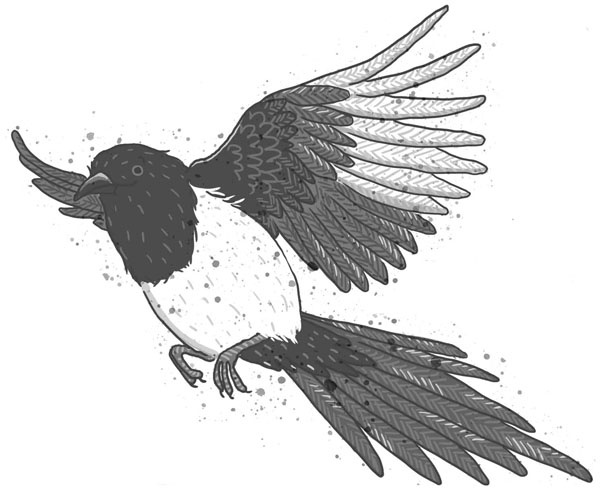 Иллюстрация к книге — Школа волшебных зверей [_237.jpg]