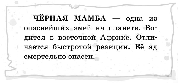 Иллюстрация к книге — Школа волшебных зверей [_241.jpg]