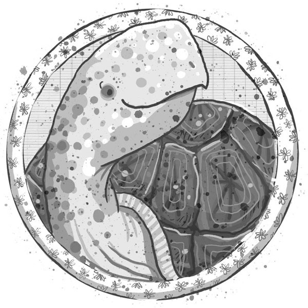 Иллюстрация к книге — Школа волшебных зверей [g11.jpg]