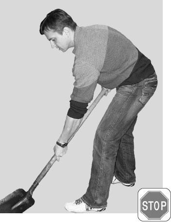 Иллюстрация к книге — Большая книга упражнений для спины. Комплекс "Умный позвоночник" [_105.jpg]